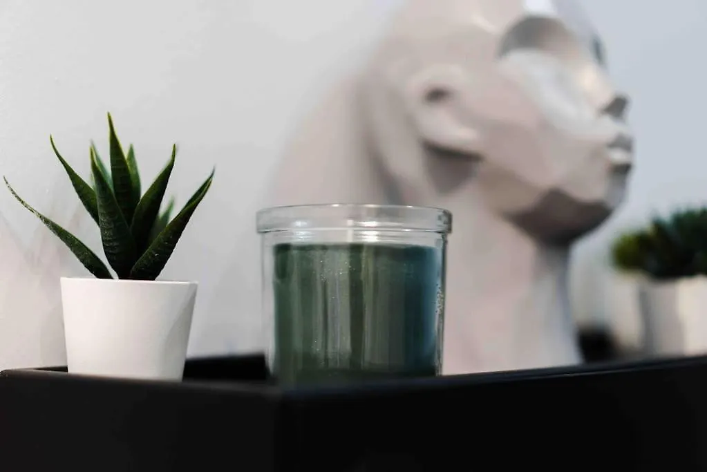 • Pti' Parisien • Apartment
